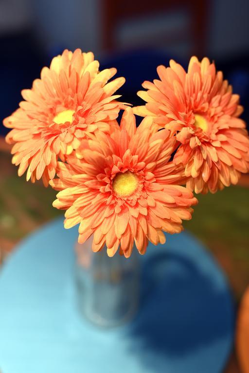 Apartment Orange Purple Blue ザグレブ エクステリア 写真